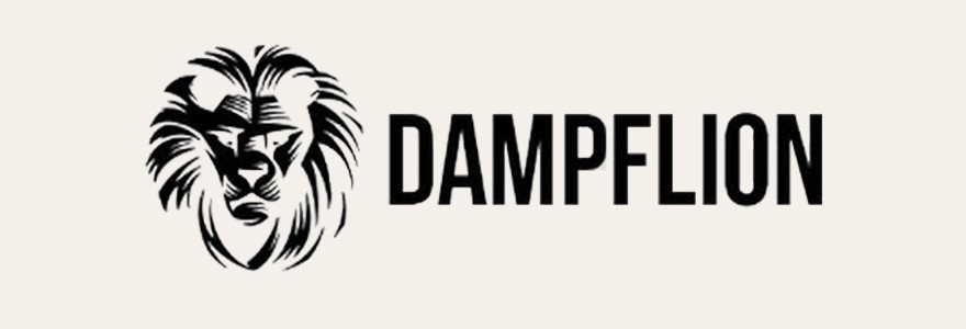 Dampflion Dampflion Logo