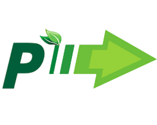 Pioneer4you Logo Pioneer4you Logo