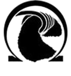 Wick N' Vape Logo Wick N' Vape Logo