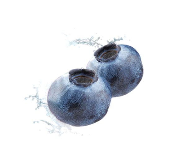 Adalya - Blue Ice - 50g - Shisha Tobacco Adalya - Blue Ice - 50g - Shisha Tobacco