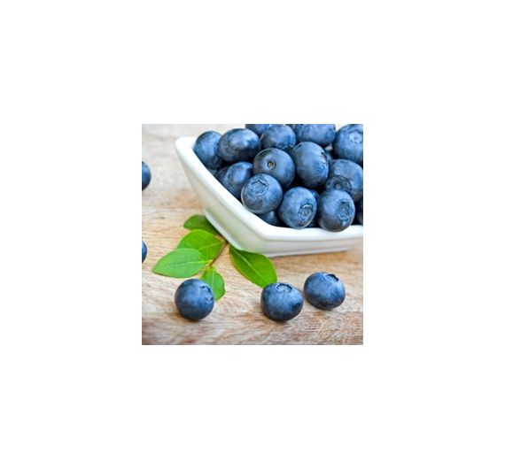 Perfumers Apprentice - Blueberry (Wild) - 15ml Flavour Concentrate Perfumers Apprentice - Blueberry (Wild) - 15ml Flavour Concentrate