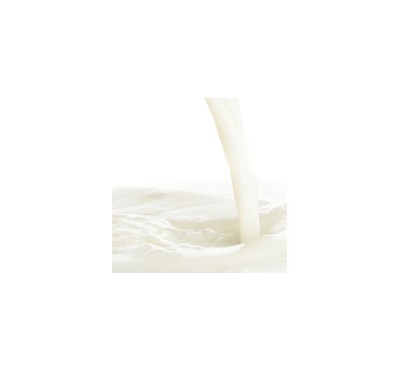 Perfumers Apprentice - Malted Milk (Conc) - 15ml Flavour Concentrate Perfumers Apprentice - Malted Milk (Conc) - 15ml Flavour Concentrate