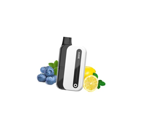 Smarter S6000 - NS20mg - Hybrid System Blueberry Lemon Smarter S6000 - NS20mg - Hybrid System Blueberry Lemon