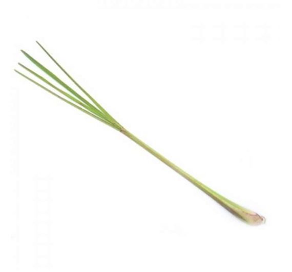 Sky Herbline Lemongrass