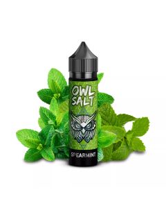 OWL Salt - Spearmint - 10/60ml Longfill Concentrate