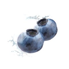 Adalya - Blue Ice - 50g - Shisha Tobacco Adalya - Blue Ice - 50g - Shisha Tobacco