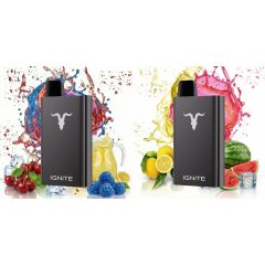Ignite P15 Starter Pod Kit Ignite P15 Starter Pod Kit