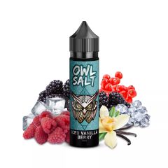 OWL Salt - Iced Vanilla Berry - 10/60ml Longfill Concentrate OWL Salt - Iced Vanilla Berry - 10/60ml Longfill Concentrate