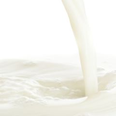 Perfumer's Malted Milk (Conc) 15ml Aroma Perfumer's Malted Milk (Conc) 15ml Aroma