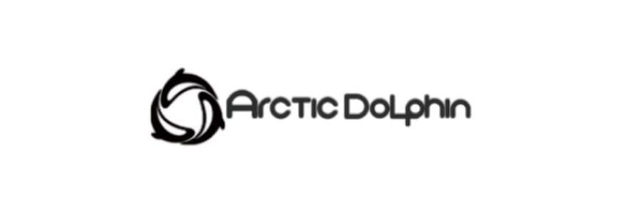 Arctic Dolphin