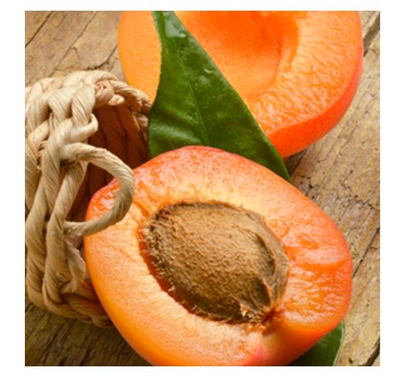 Perfumers Apprentice - Apricot - 15ml Aroma