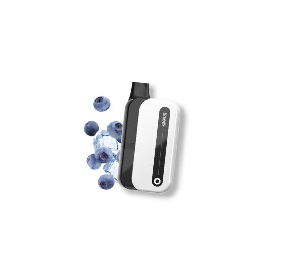 Smarter S6000 - NS20mg - Hybrid System Blueberry