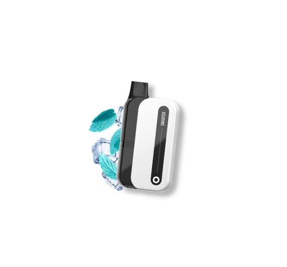 Smarter S6000 - NS20mg - Hybrid System Super Menthol