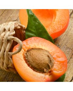 Perfumer's Apricot 15ml Aroma