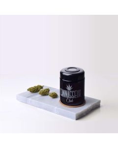 Cannasseur - Club Humidor Medium Cannasseur - Club Humidor Medium