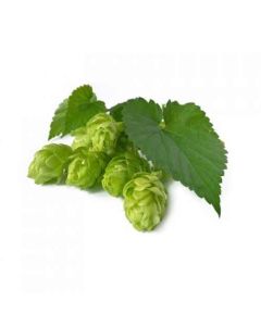 Sky Herbline Fleurs de houblon Sky Herbline Fleurs de houblon