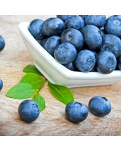 Perfumer's Blueberry (Wild) 15ml Aroma