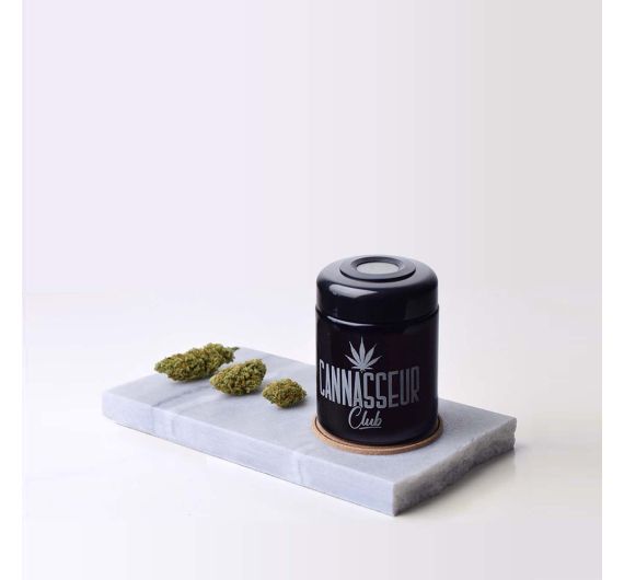 Cannasseur - Club Humidor Medium Cannasseur - Club Humidor Medium