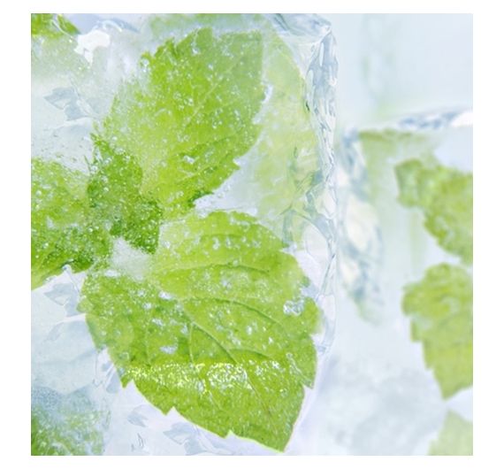 Perfumer`s - Menthol - 15ml Arôme Perfumer`s - Menthol - 15ml Arôme