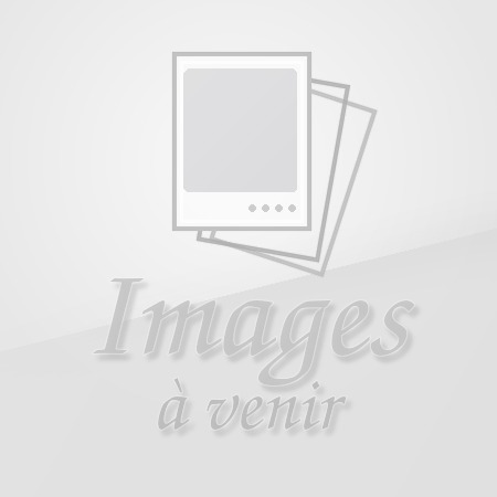 Elf Bar - ELFA PRO - 20mg - Prefilled Pod (2 Kartuschen) Elfturbo