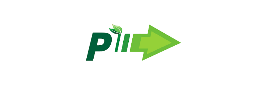 Pioneer4you Pioneer4you Logo