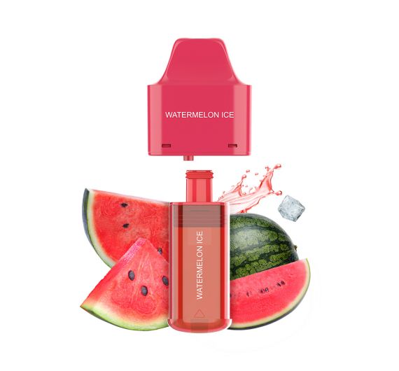 Elfbar Nx 7000 - 20mg - Nachfüllbehälter Watermelon Ice Elfbar Nx 7000 - 20mg - Nachfüllbehälter Watermelon Ice
