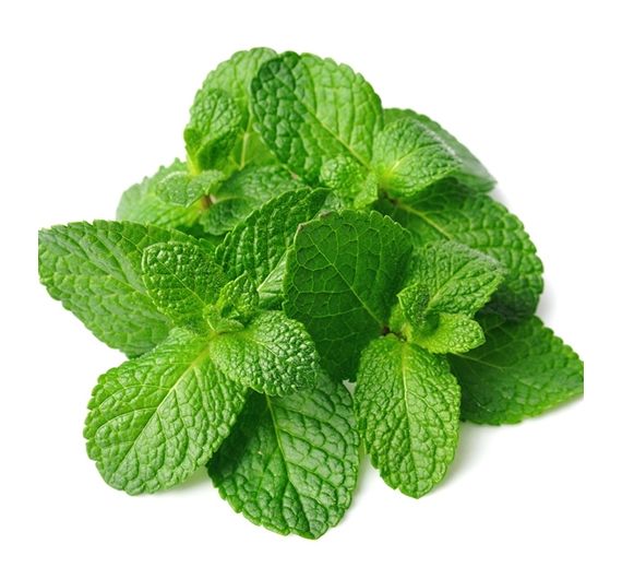 Perfumers Apprentice - Spearmint - 15ml Aroma Perfumers Apprentice - Spearmint - 15ml Aroma