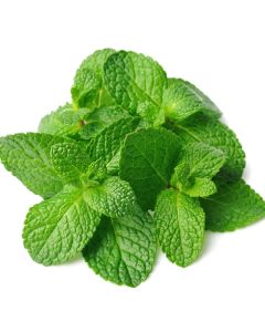 Perfumer's Spearmint 15ml Aroma