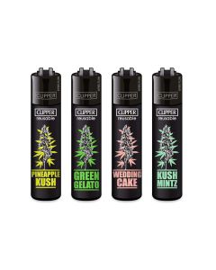 Clipper - Feuerzeuge PLANTZ #6 - Assortiert Clipper - Feuerzeuge PLANTZ #6 - Assortiert