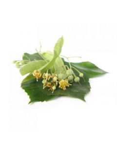 Sky Herbline Fiori di tiglio Sky Herbline Fiori di tiglio