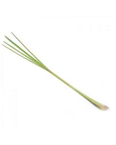 Sky Herbline Citronella Sky Herbline Citronella