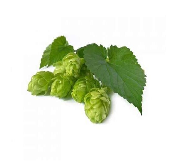 Sky Herbline Fiori di luppolo