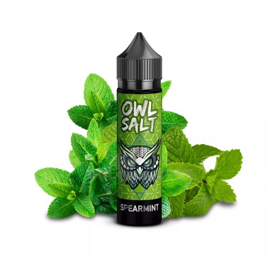 OWL Salt - Menta verde - 10/60ml Longfill Aroma