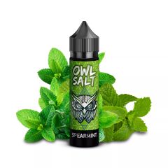OWL Salt - Menta Verde - 10/60ml Aroma Longfill OWL Salt - Menta Verde - 10/60ml Aroma Longfill