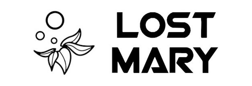 Lost Mary Lost Mary