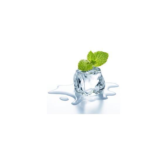 Perfumers Apprentice - Wintergreen - 15ml Aroma Perfumers Apprentice - Wintergreen - 15ml Aroma