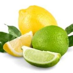 Perfumers Apprentice - Lemon Lime 2 - 15ml Aroma Perfumers Apprentice - Lemon Lime 2 - 15ml Aroma