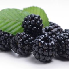 Perfumer's Blackberry 15ml Aroma Perfumer's Blackberry 15ml Aroma