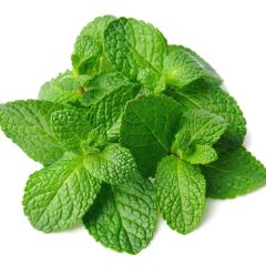 Perfumer's Spearmint 15ml Aroma Perfumer's Spearmint 15ml Aroma