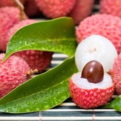 Perfumers Apprentice - Lychee - 15ml Aroma Perfumers Apprentice - Lychee - 15ml Aroma