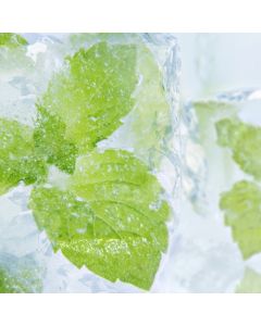 Perfumers Apprentice - Menthol - 15ml Aroma Perfumers Apprentice - Menthol - 15ml Aroma