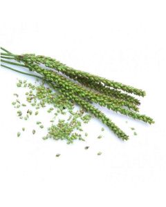 Sky Herbline Spitzwegerich Sky Herbline Spitzwegerich