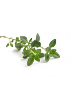 Sky Herbline Thymian Sky Herbline Thymian