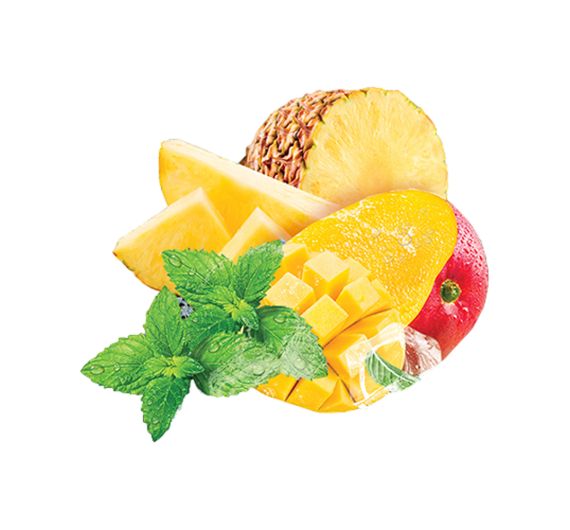 Adalya - Hawaii - 50g - Shisha Tabak Adalya - Hawaii - 50g - Shisha Tabak