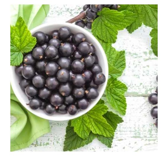 Perfumers Apprentice - Black Currant - 15ml Aroma