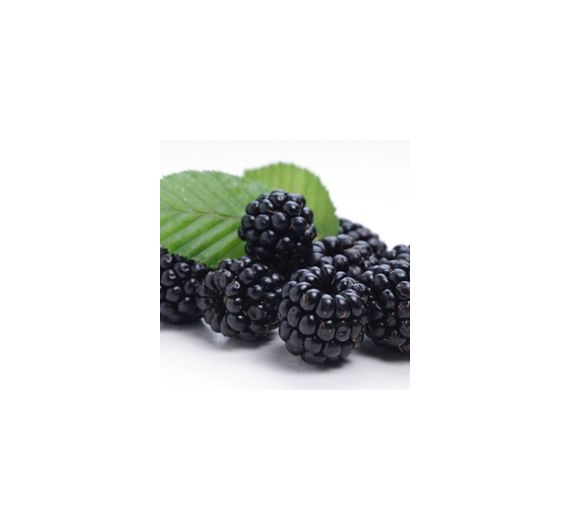 Perfumers Apprentice - Blackberry - 15ml Aroma