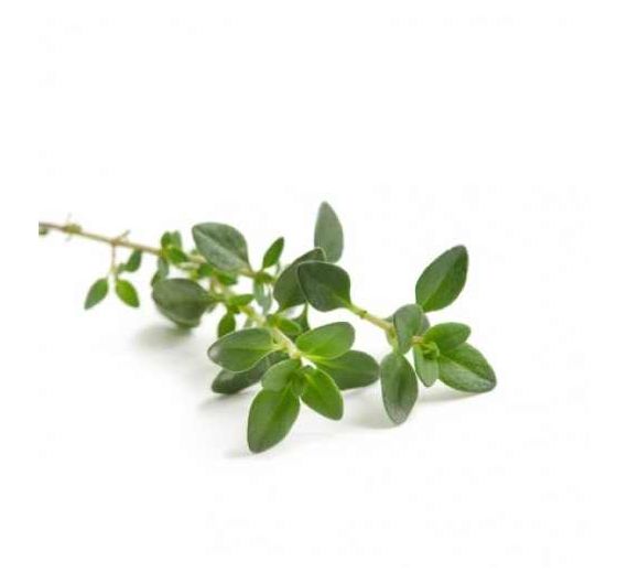 Sky Herbline Thymian Sky Herbline Thymian