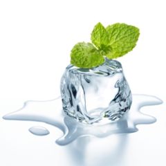 Perfumer's Wintergreen 15ml Aroma Perfumer's Wintergreen 15ml Aroma